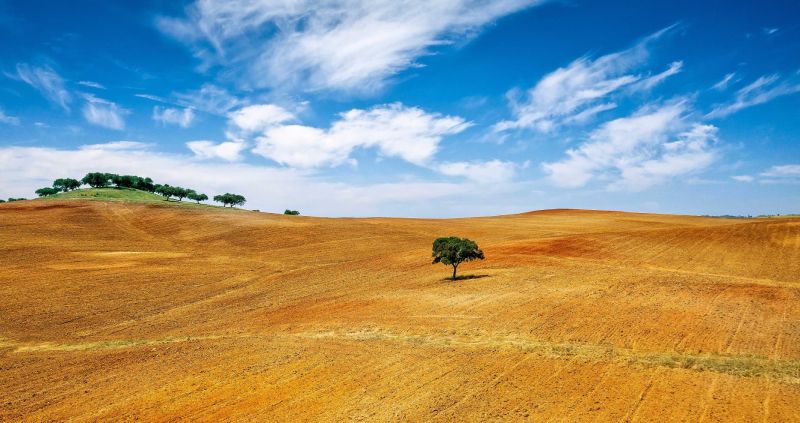 alentejo portugal.jpg